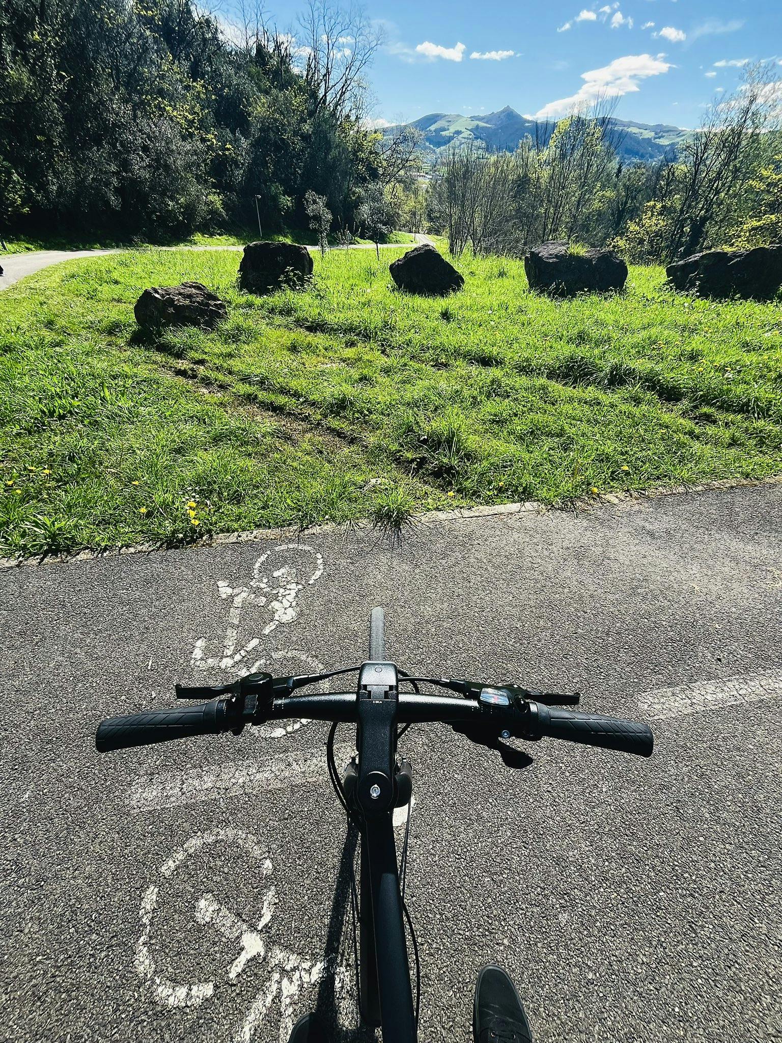 Mi bicicleta en un carril bici, en el Parque de La Viesca