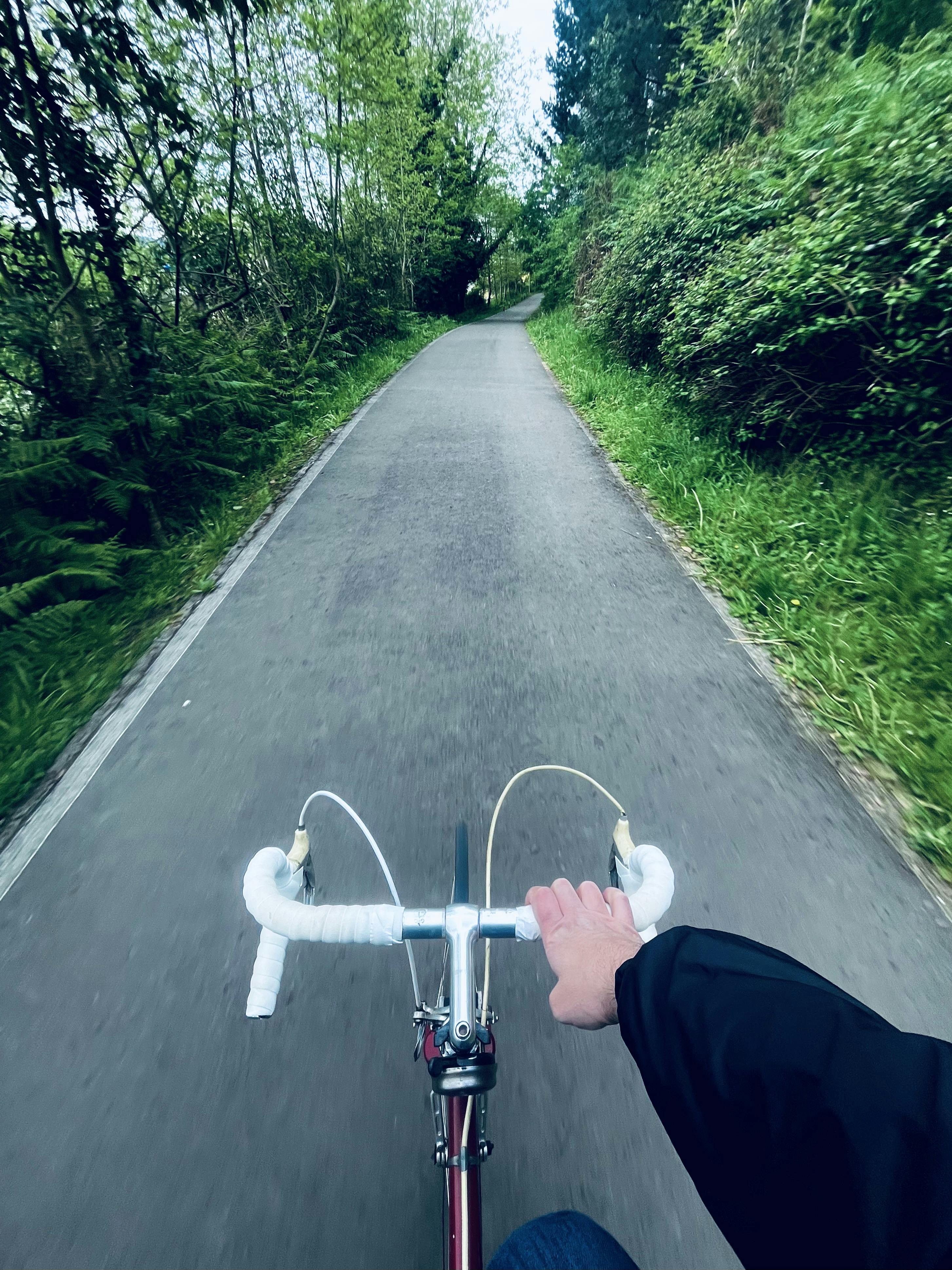 Mi bicicleta por un carril bici, rodeado de árboles.