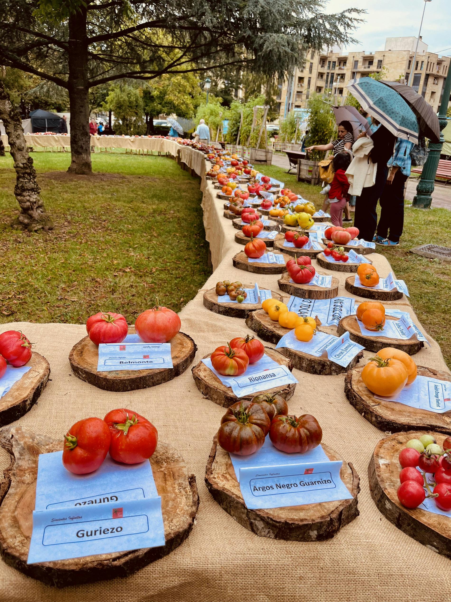 Feria del Tomate en Torrelavega